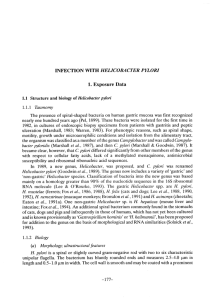 Infection with Helicobacter Pylori