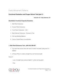 Functional Evaluation / Prague School Test Outline