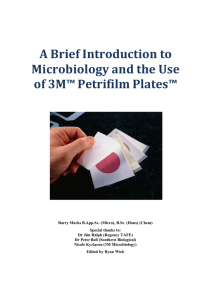 A Brief Introduction to Microbiology and the Use of 3M Petrifilm Plates