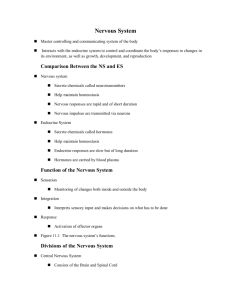 Nervous System - Academic Computer Center