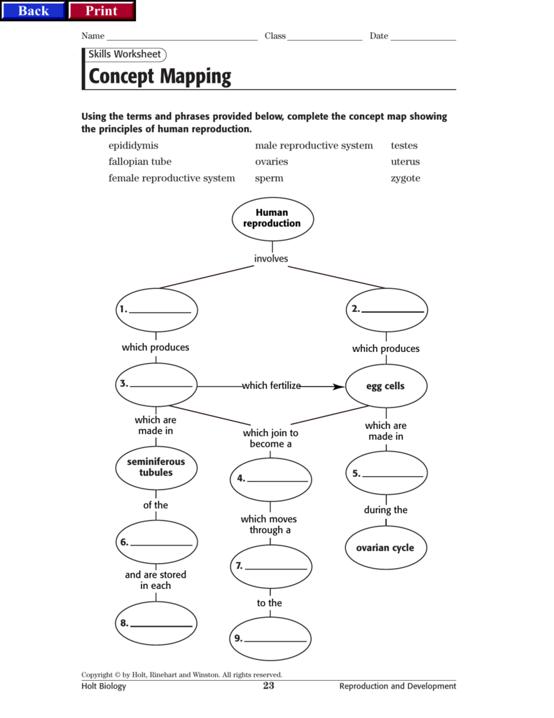 repro_concept_map With Cell Concept Map Worksheet Answers