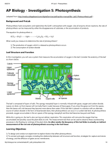 AP Biology - Investigation 5: Photosynthesis