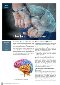 The brain and crime