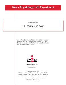 Experiment HK-1 Human Kidney