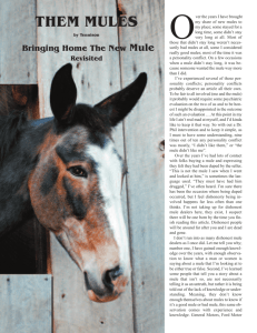 them mules - Western Mule Magazine