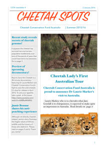 Cheetah Spots 4 - Cheetah Conservation Fund Australia