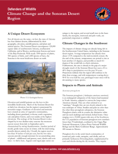 Climate Change and the Sonoran Desert Region
