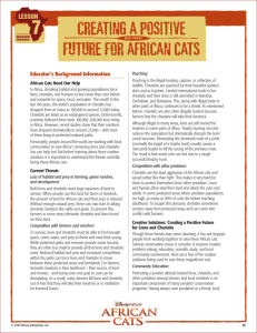 creating a positive future for african cats