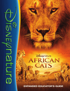 Educator Guide To African Cats