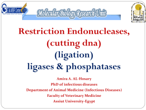 Restriction Endonucleases, (cutting dna) (ligation) ligases