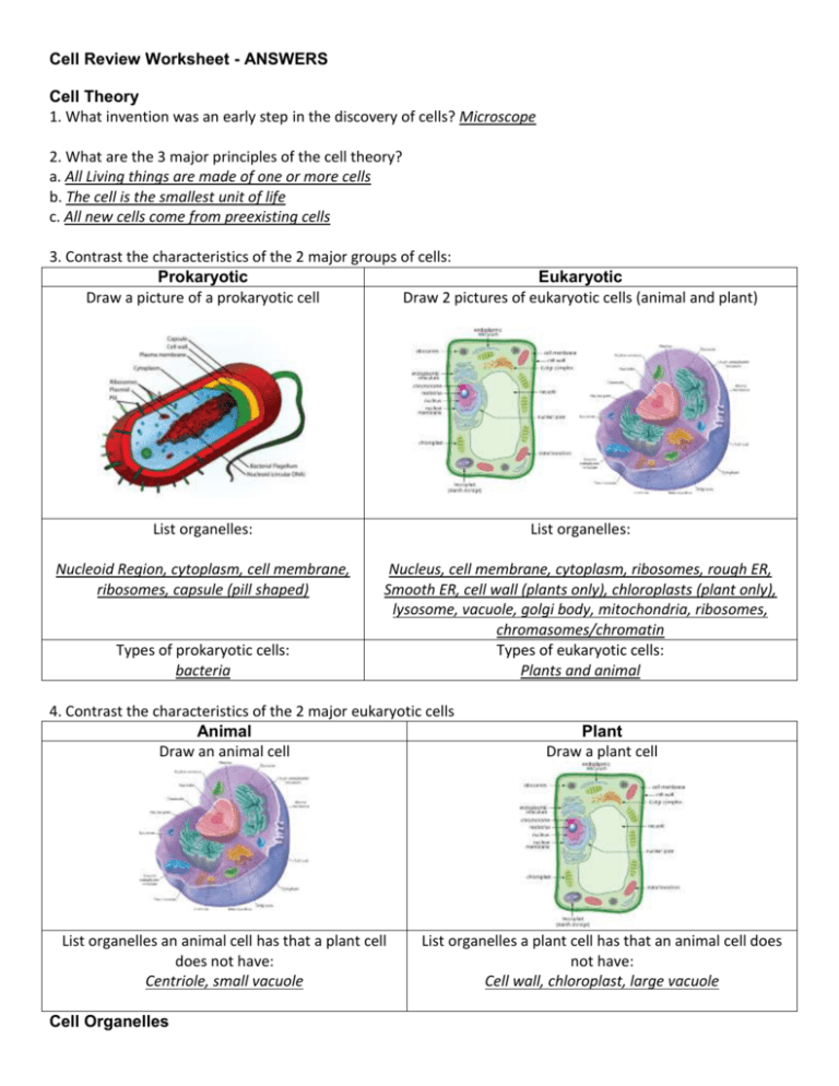 cell-review-worksheet-answers-cell-theory