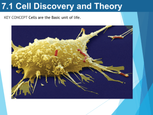 3.1 Cell Theory