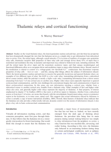 Thalamic relays and cortical functioning