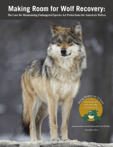 Making Room for Wolf Recovery - Center for Biological Diversity