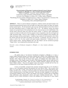 41 Characterization of Phenotypic Variation in Selected Croton