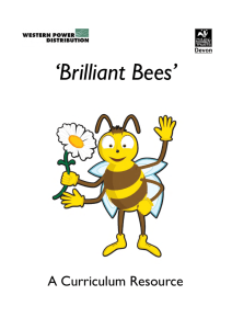 Brilliant Bees - Devon Wildlife Trust