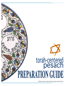 Passover Preparation Cover
