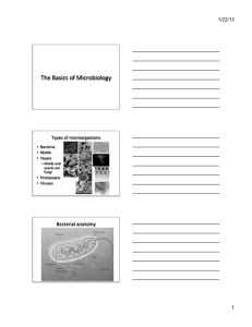 Introduction to food microbiology, microbial groups of interest in foods