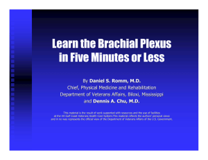 Learn the Brachial Plexus in Five Minutes or Less