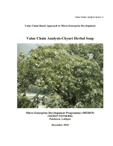 Value Chain Analysis-Chyuri Herbal Soap - Micro