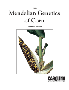 Genetics of Corn Kit - Carolina Curriculum