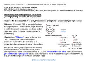 Preparatory Phase of Glycolysis (continued) [STEP 4] Splitting