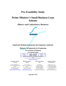 Pre-Feasibility Study Prime Minister's Small Business Loan Scheme
