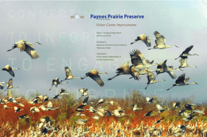 Paynes Prairie Preserve - Friends of Paynes Prairie
