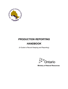 production reporting handbook