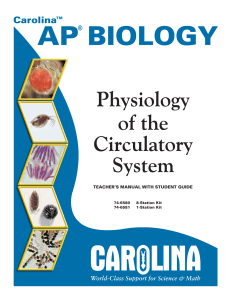 AP Biology Lab 10