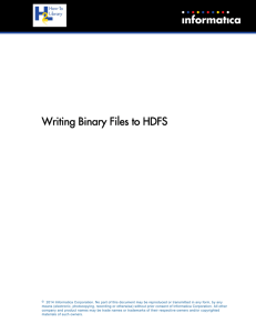 Writing Binary Files to HDFS