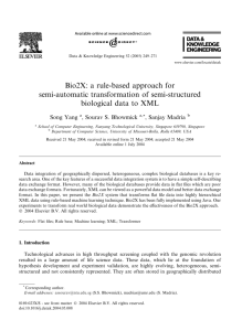 Bio2X: a rule-based approach for semi