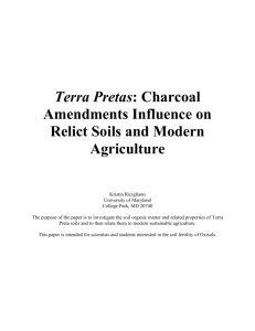 Terra Pretas: Charcoal Amendments Influence on Relict Soils and