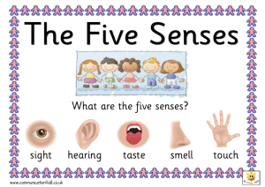What are the five senses? sight hearing taste smell touch