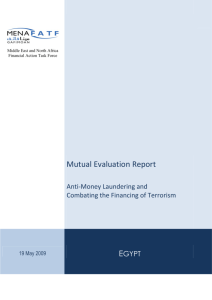 Mutual Evaluation Report