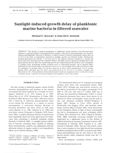 Sunlight-induced growth delay of planktonic marine