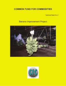 COMMON FUND FOR COMMODITIES Banana Improvement Project