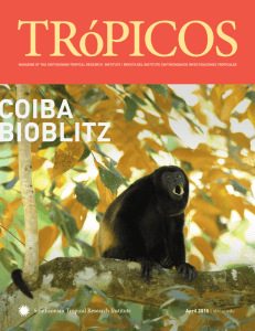 coiba bioblitz - Smithsonian Tropical Research Institute