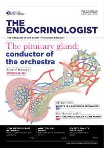 The pituitary gland - Society for Endocrinology