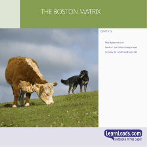 the boston matrix