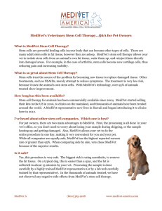 MediVet's Veterinary Stem Cell Therapy…Q&A for Pet Owners
