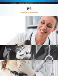 The Brochure - ImageWorks Veterinary