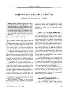 proprioception eye muscles