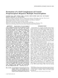 Formation of a full complement of cranial proprioceptors requires