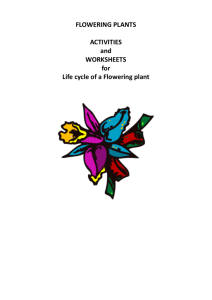 FLOWERING PLANTS ACTIVITIES and WORKSHEETS for Life