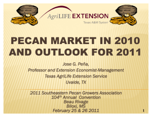pecan market in 2010 and outlook for 2011
