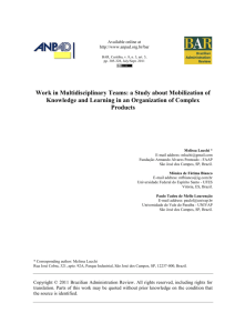 Work in Multidisciplinary Teams: a Study about Mobilization