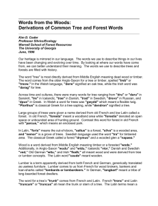 Words from the Woods: Derivations of Common Tree and Forest