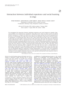 Interaction between individual experience and social learning in dogs