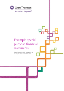 Example special purpose financial statements